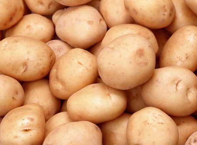 Картопля солоха: користь для здоров’я та особливості використання