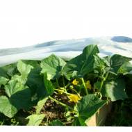 Агроволокно