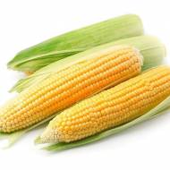 Кукурудза