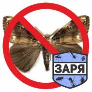 Від молі та ос