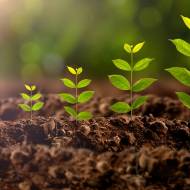 Стимулятори