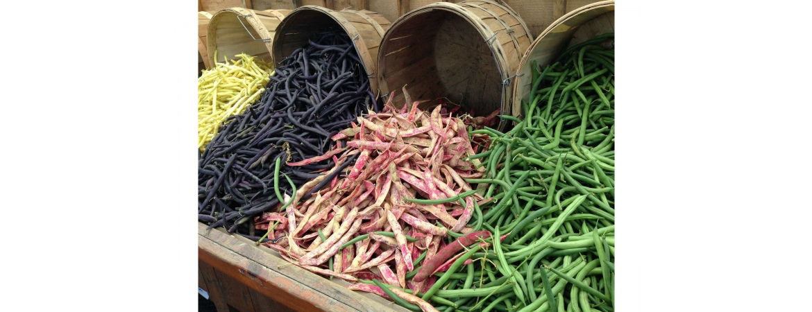 Збори спаржевої квасолі