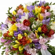 Квіти чотири