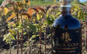 Розіграш 2 пляшок лікувального напою з чорного горіха