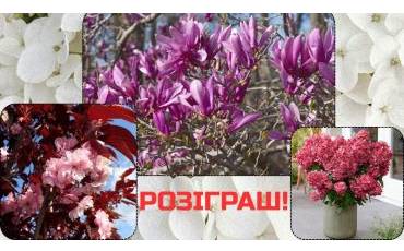 Розіграш королівських рослин для вашого саду!