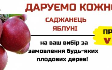 ДАРУЄМО САДЖАНЕЦЬ ЯБЛУНІ!