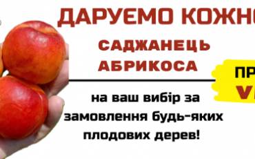 ДАРУЄМО КОЖНОМУ САДЖАНЕЦЬ АБРИКОСА