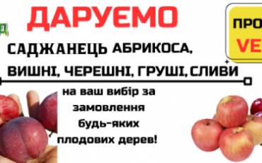 «CонцеСад» дарує саджанець різних плодових дерев кожному замовнику!