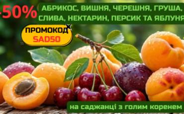 -50% на саджанці плодових з голим коренем!