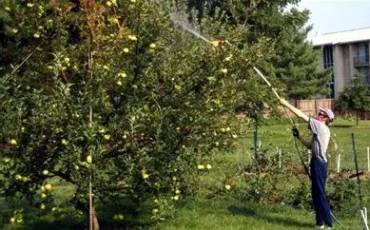 Когда и как спасти от вредителей ваш любимый сад