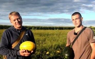 Кавуни з Житомирщини