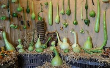 Лагенарія: смачні страви, оригінальні сувеніри