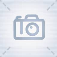 Саджанець Смородина Титанія (дворічна)