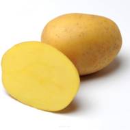 Насіннєва картопля Аннушка