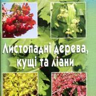 Листопадные деревья,кусты и лианы (укр.мовою)