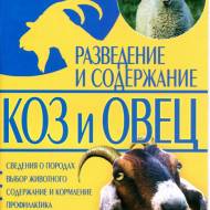 Разведение и содержание коз и овец