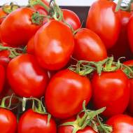 Томат Омнія F1 за 10 нас.