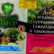 Зеленый щит для ягодных кустов 3 мл + 10 г
