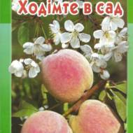 Ходімте в сад