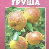 Груша.