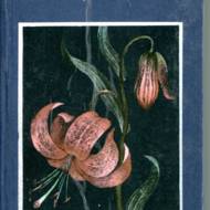 Сигнал тривоги - квітка лілії (рос.мовою).