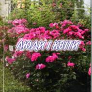 Люди і квіти.