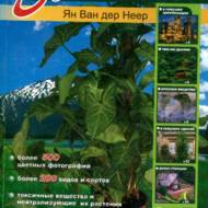 Все про комнатні рослини, що очищають повітря. (рос.мовою).