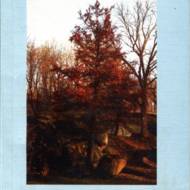 Барви флори.