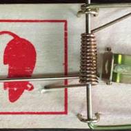 Мышеловка «классическая»