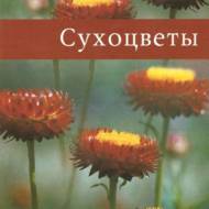 Сухоцвіти (рос.мовою).