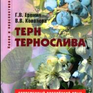 Терн і тернослива (рос.мовою)