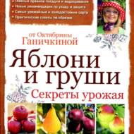 Яблуні і груші.Секрети урожаю (рос.мовою)