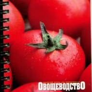 Визначник хвороб і шкідників томата (рос.мовою).