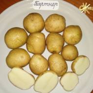 Насіннєва картопля Партнер