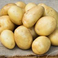 Насіннєва картопля Мінерва