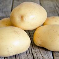 Насіннєва картопля Коннект