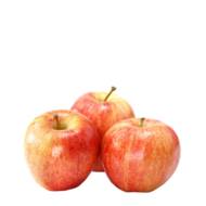 Саженец Яблоня Роял Гала