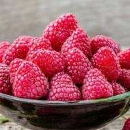 Саджанець Малина Таруса (малинове дерево)