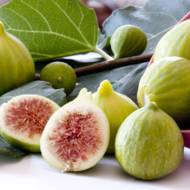 Саженец Инжир Кадота