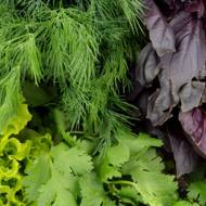 Набір Зелені