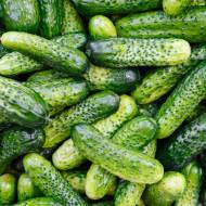 Набор «Хрустящий огурец»