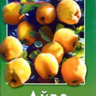 Айва.