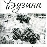 Бузина.