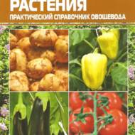 Пасльонові рослини (рос.мовою).