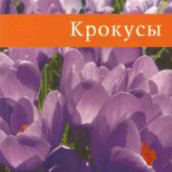 Крокуси (рос.мовою).