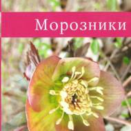 Чемерники (рос.мовою).