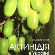 Актинидія в Україні.