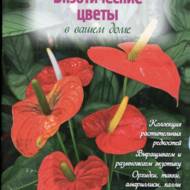 Екзотичні квіти у вашому будинку (рос.мовою).