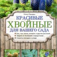 Красиві хвойні для Вашого саду (рос.мовою).