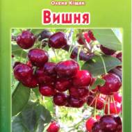 Вишня.
